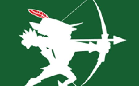Robin Hood Army